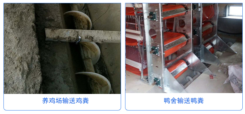 塑料螺旋输送机应用