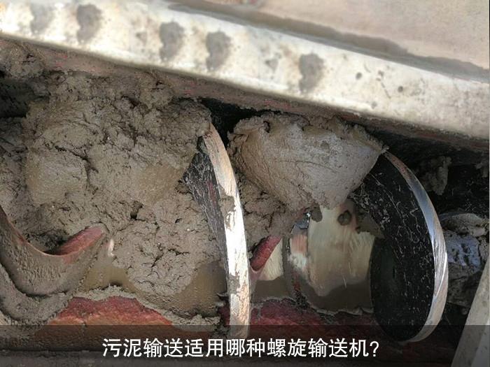污泥螺旋输送机